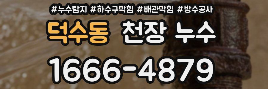 덕수동 천장 누수