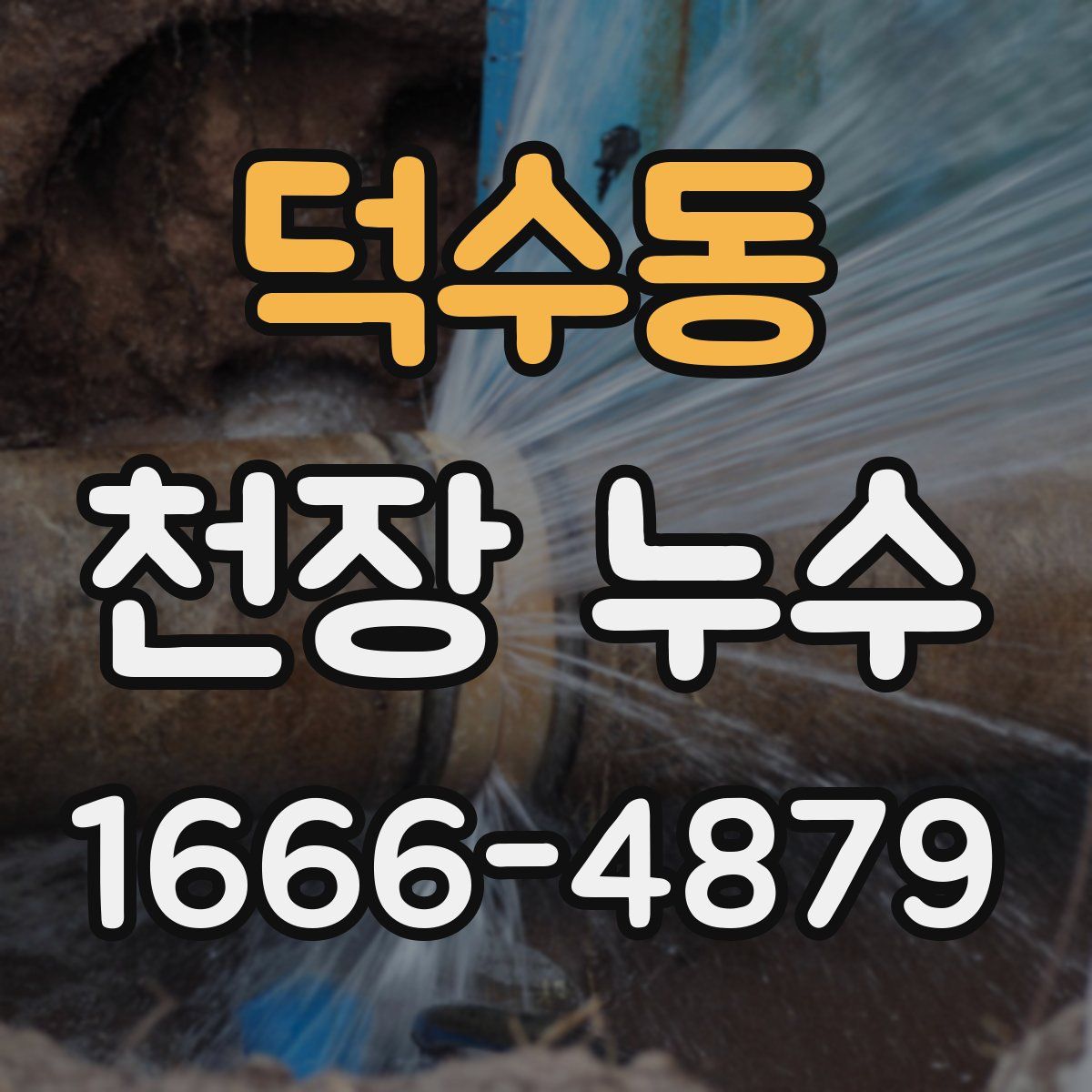 덕수동 천장 누수