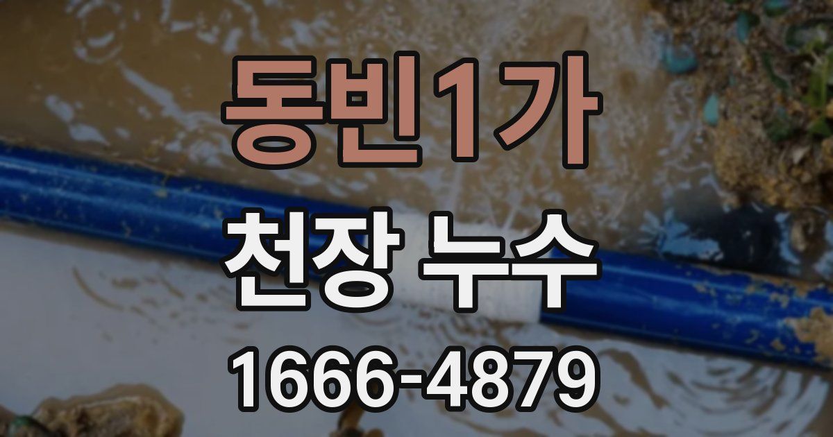 동빈1가 천장 누수
