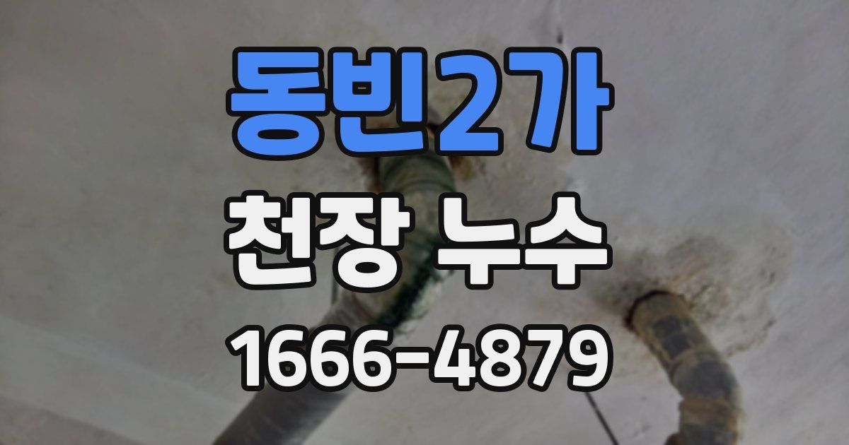 동빈2가 천장 누수