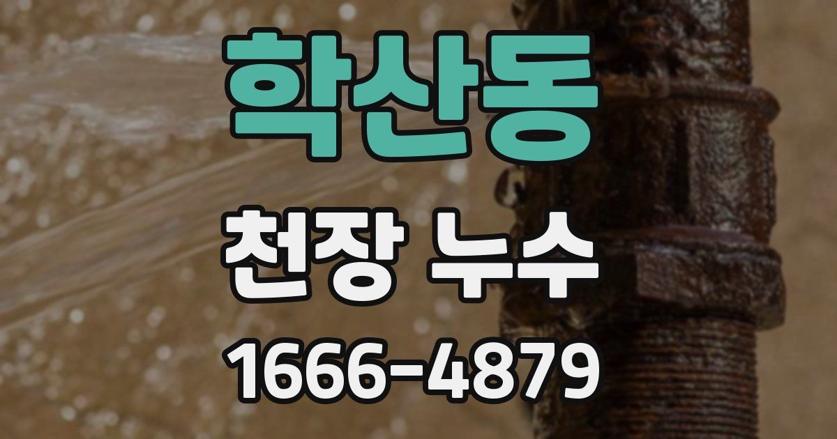 학산동 천장 누수