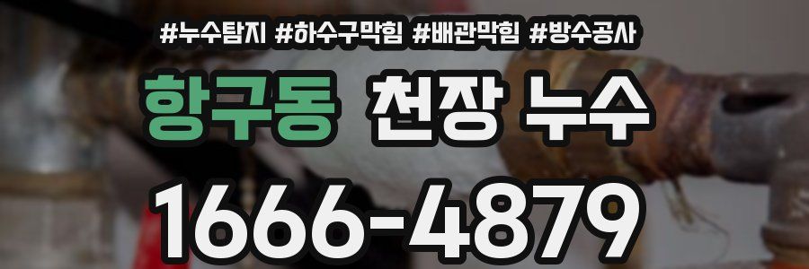 항구동 천장 누수