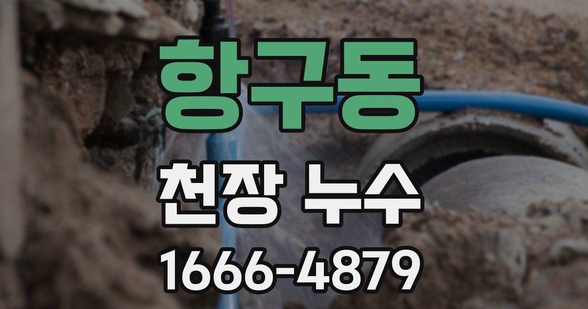 항구동 천장 누수