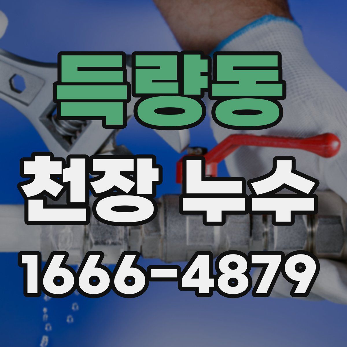 득량동 천장 누수