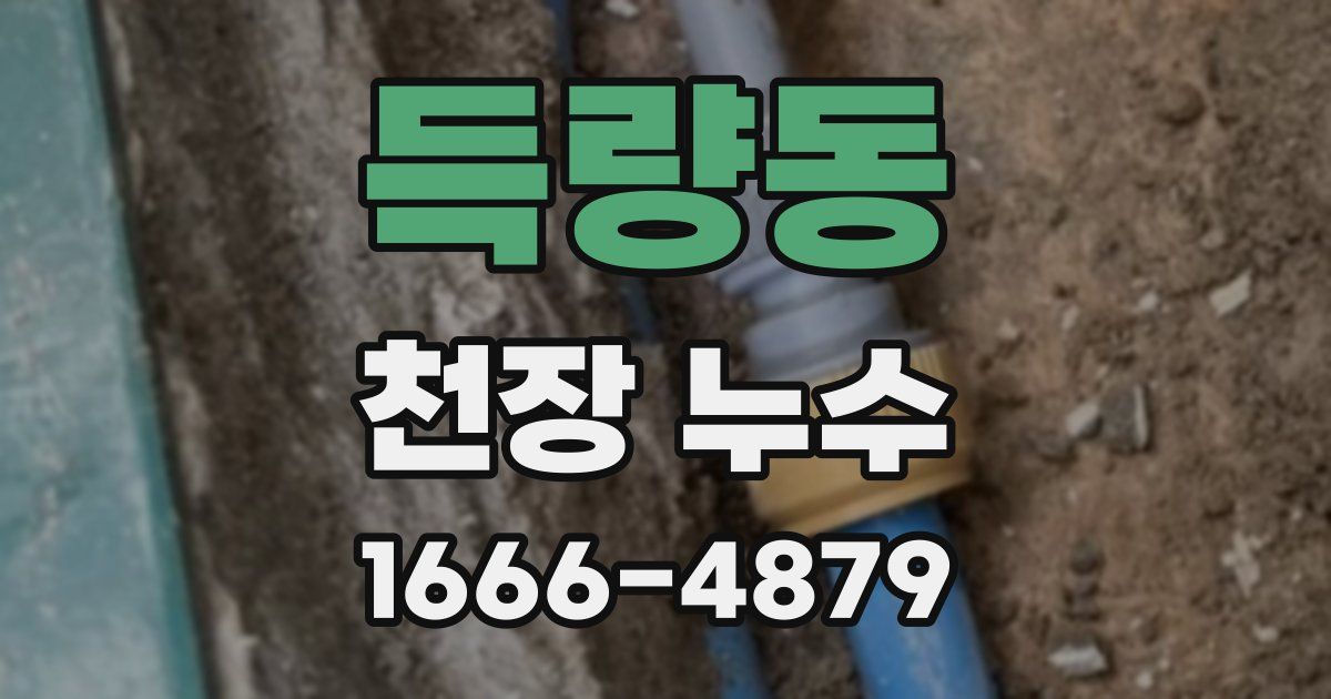 득량동 천장 누수