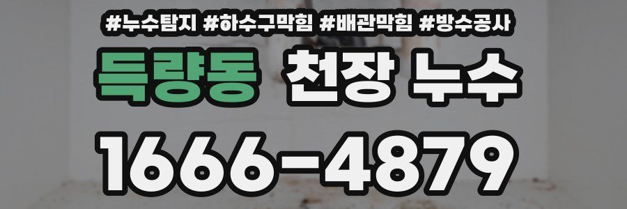 득량동 천장 누수