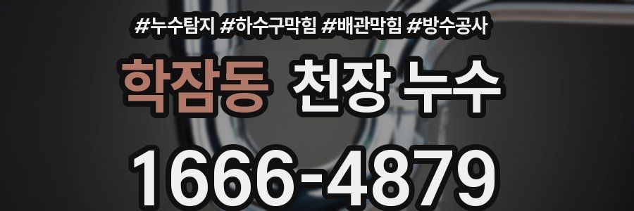 학잠동 천장 누수