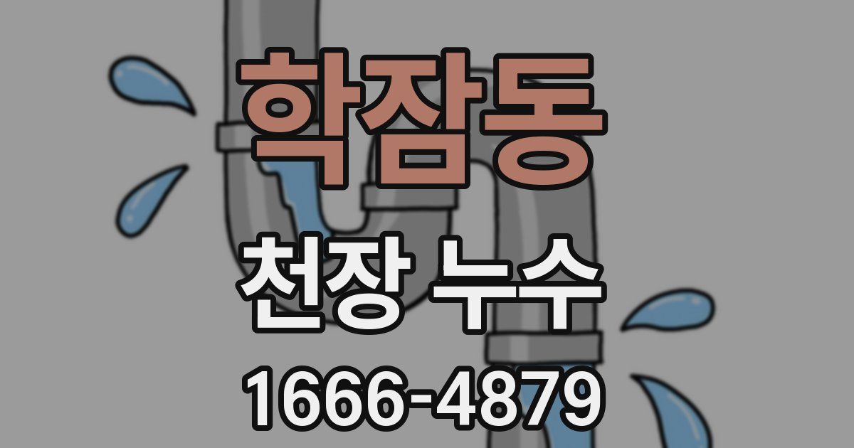 학잠동 천장 누수