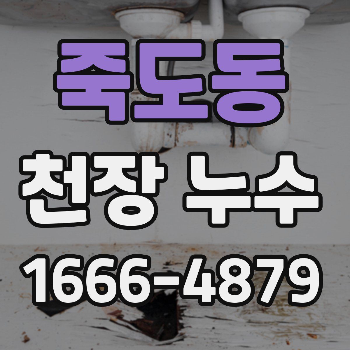 죽도동 천장 누수
