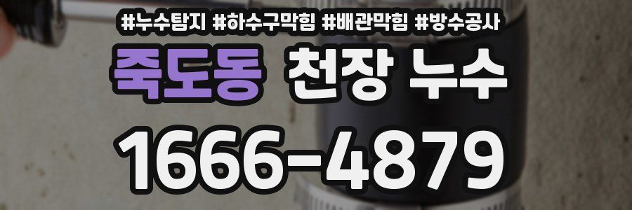 죽도동 천장 누수