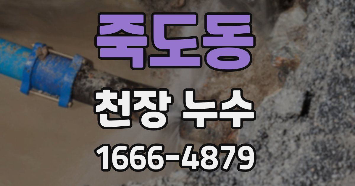 죽도동 천장 누수