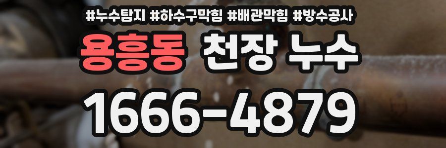 용흥동 천장 누수