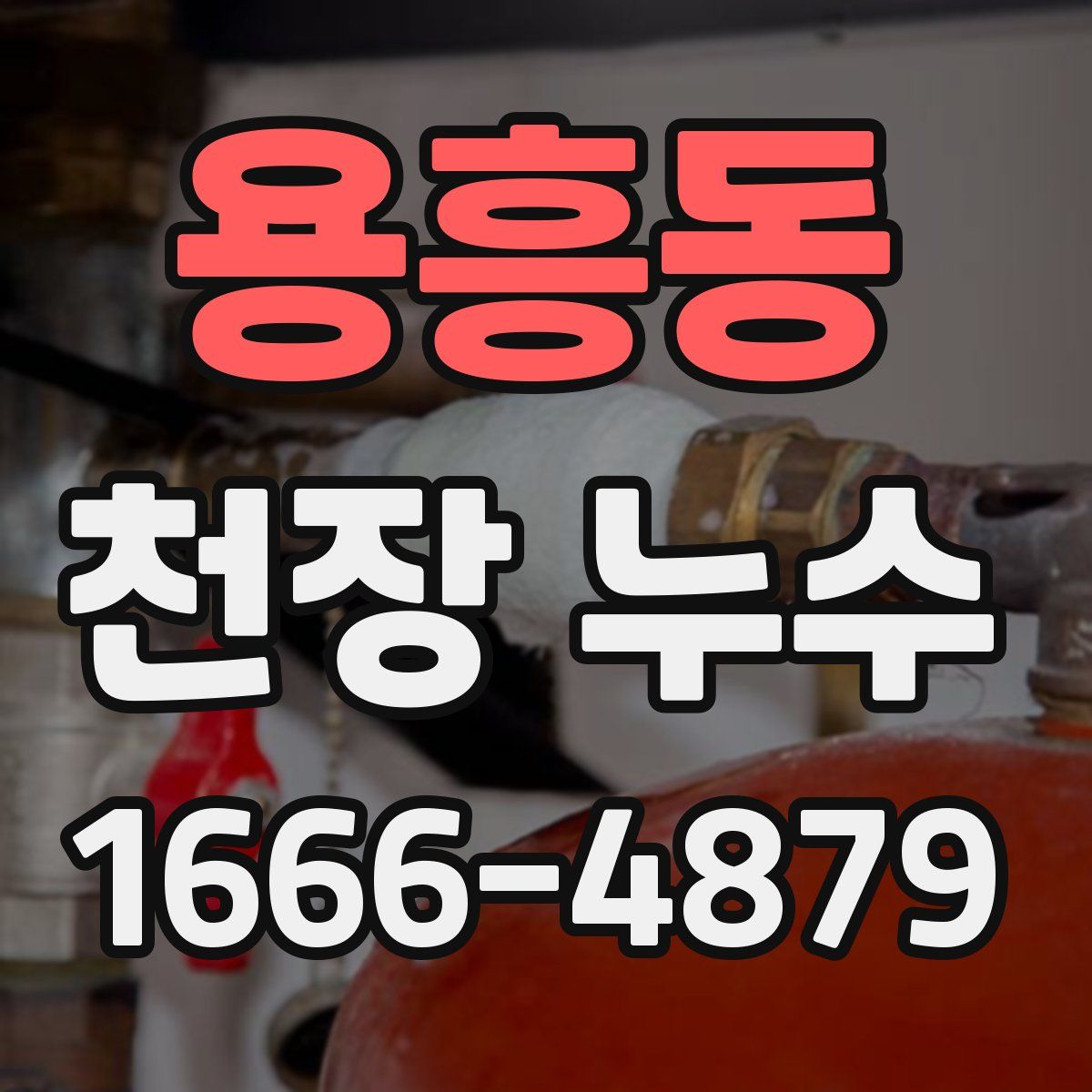 용흥동 천장 누수