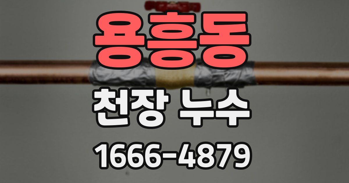 용흥동 천장 누수