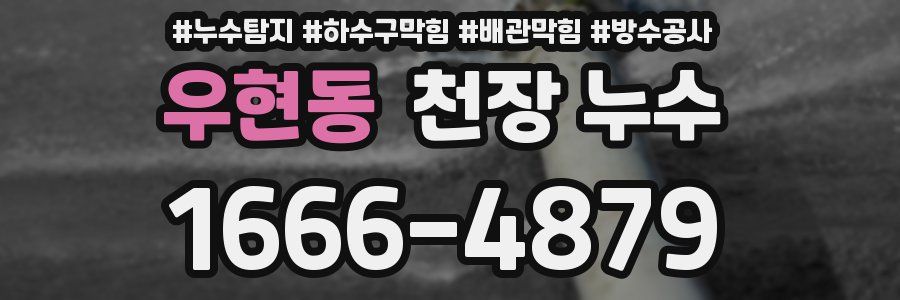우현동 천장 누수