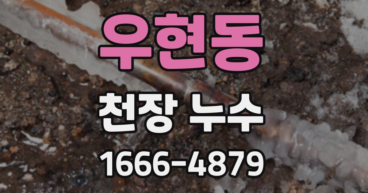 우현동 천장 누수