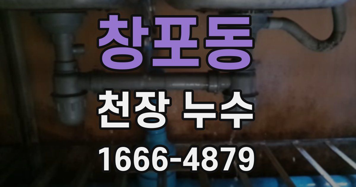 창포동 천장 누수