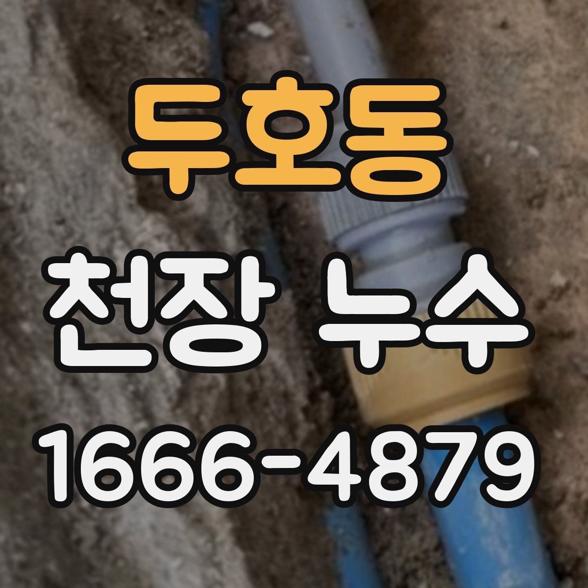 두호동 천장 누수