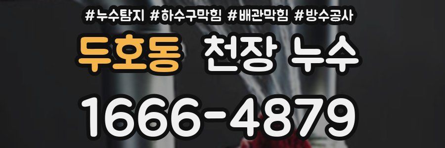 두호동 천장 누수