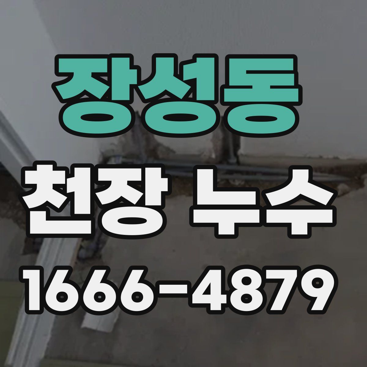 장성동 천장 누수