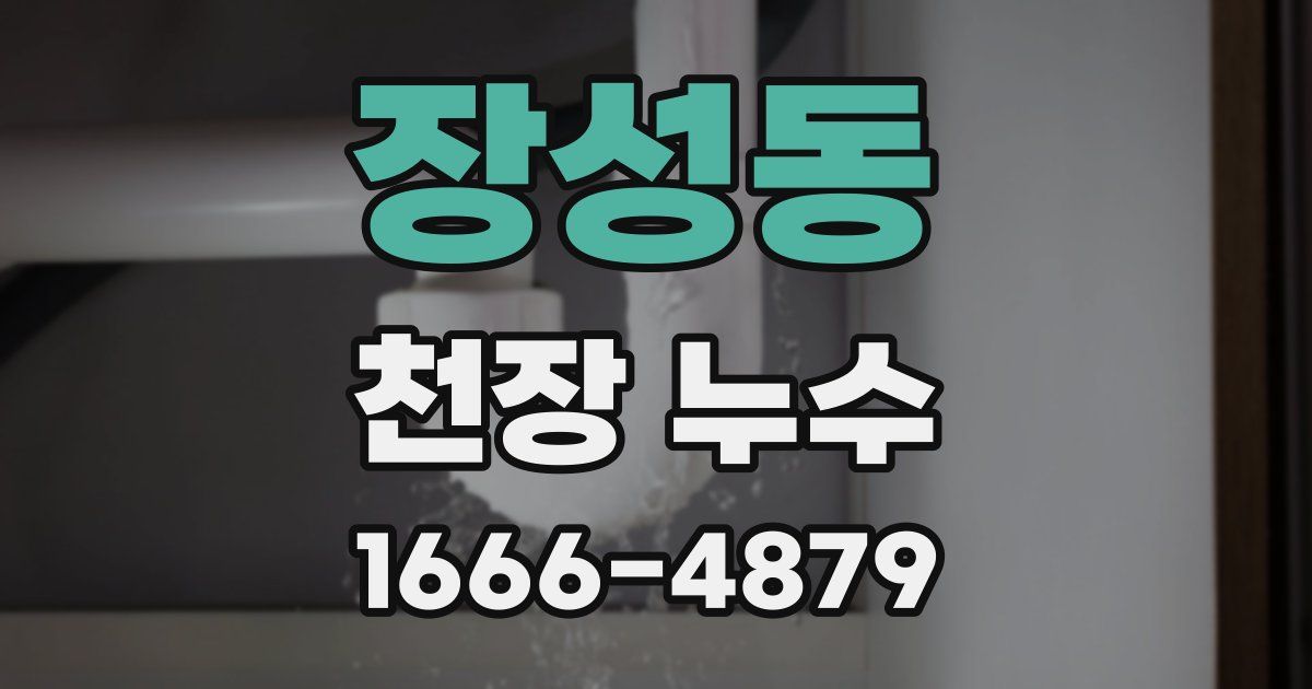 장성동 천장 누수