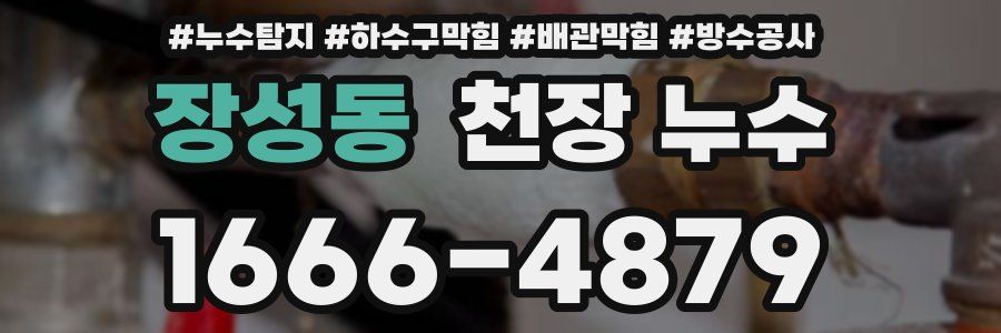 장성동 천장 누수