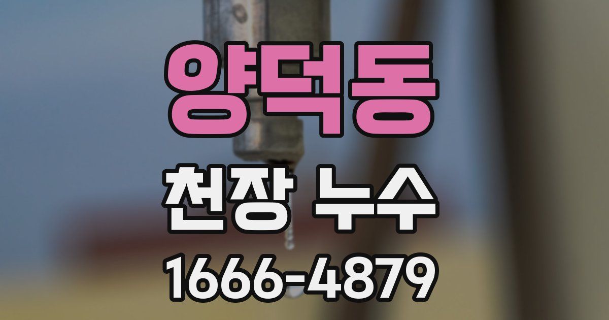 양덕동 천장 누수