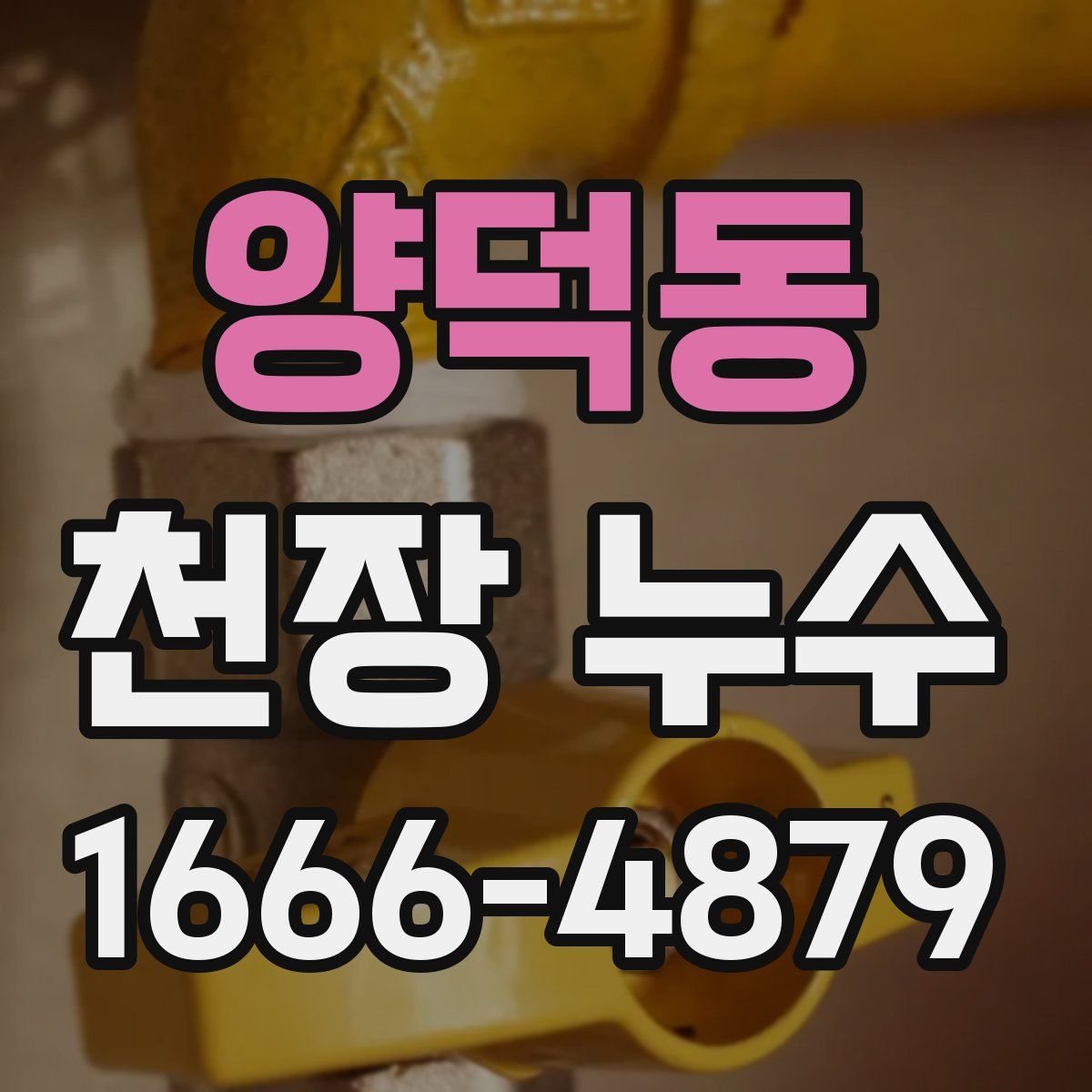 양덕동 천장 누수