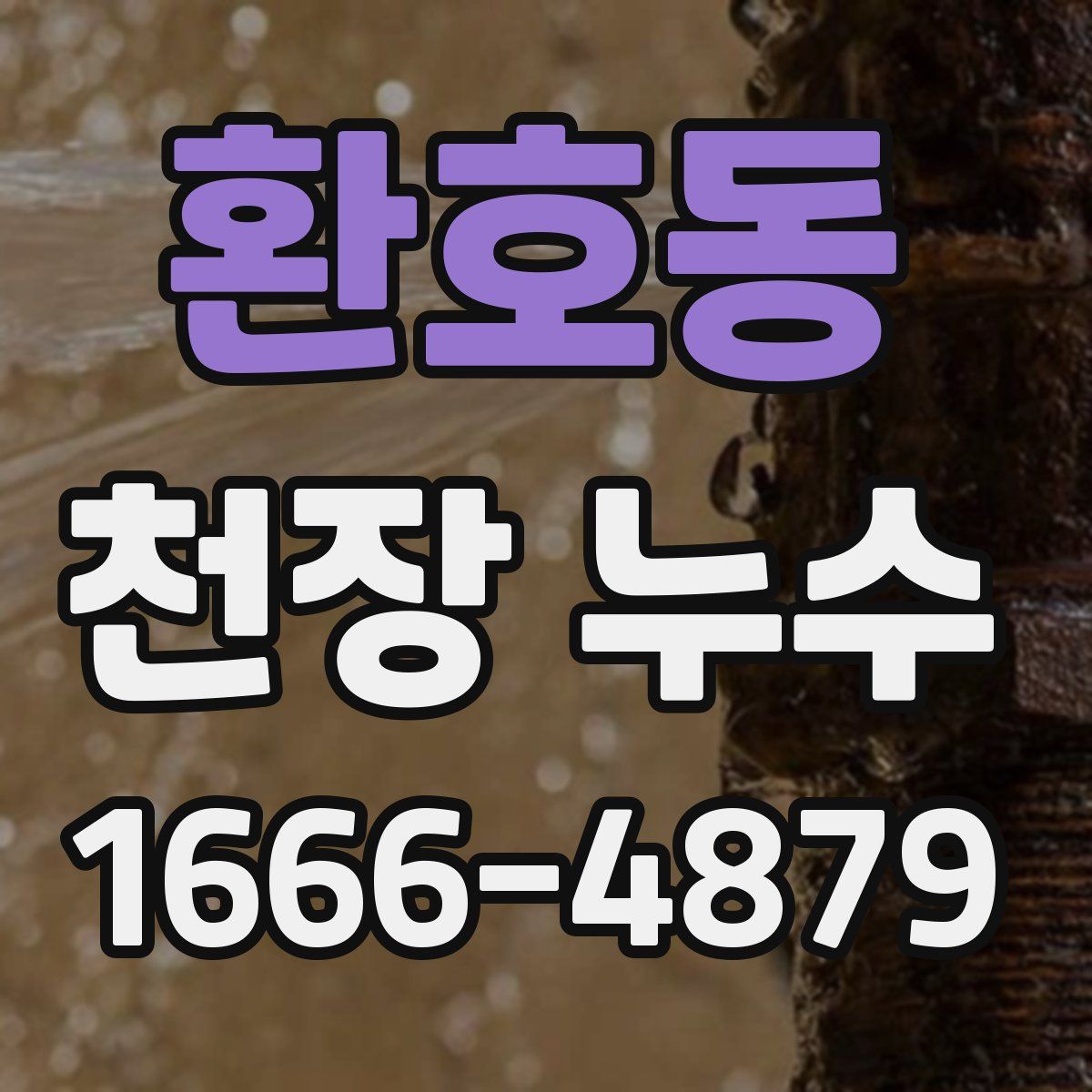 환호동 천장 누수