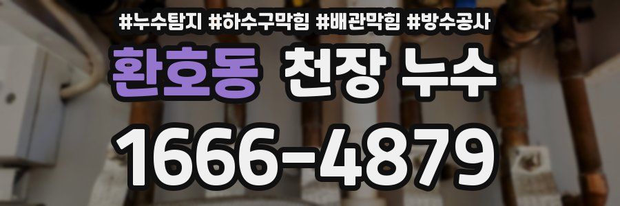 환호동 천장 누수