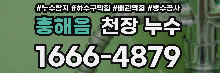 흥해읍 천장 누수