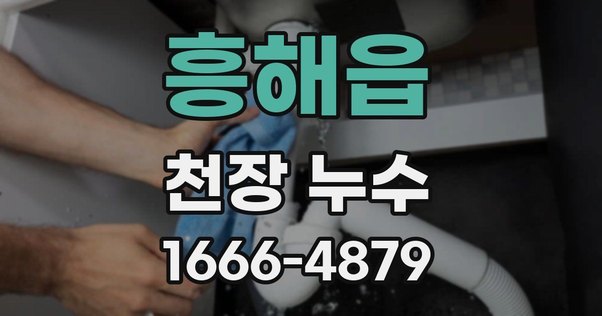 흥해읍 천장 누수