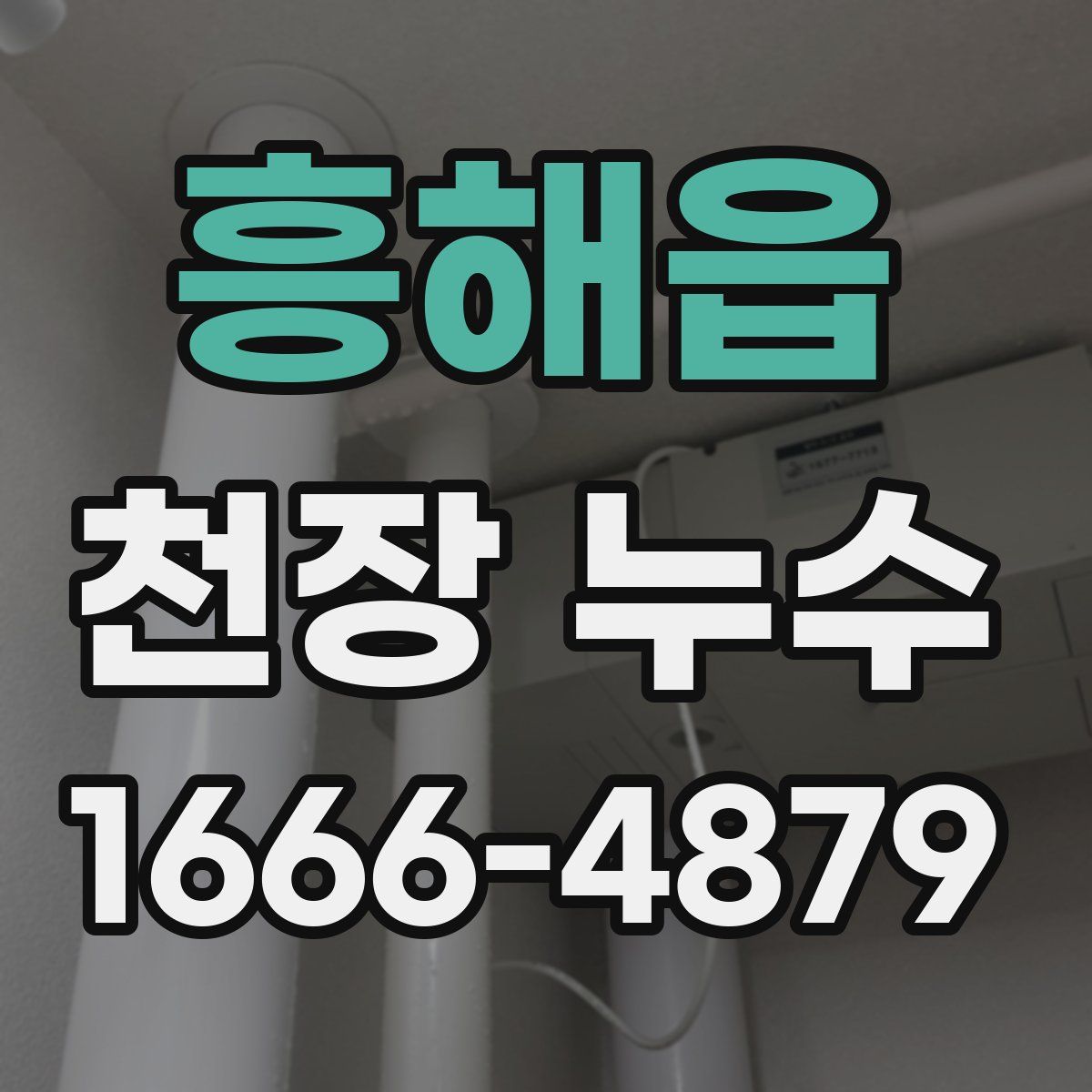 흥해읍 천장 누수