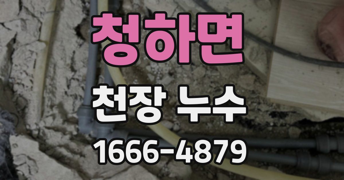 청하면 천장 누수