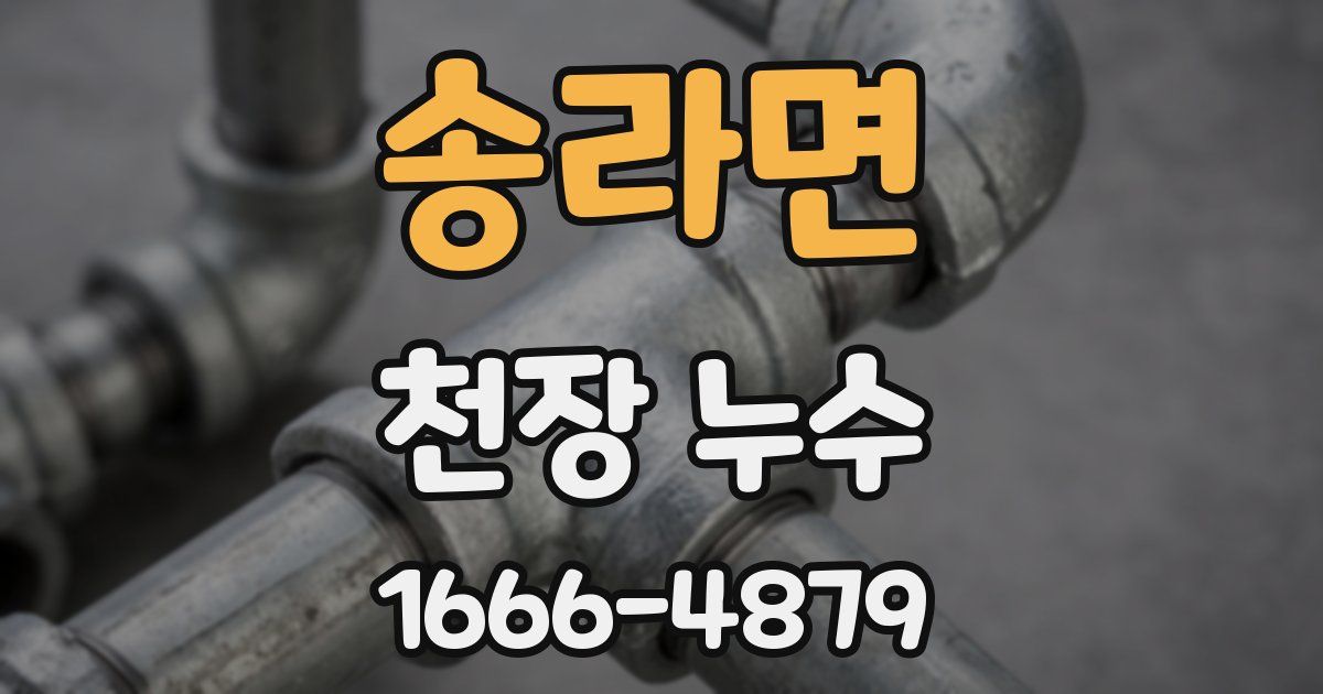 송라면 천장 누수