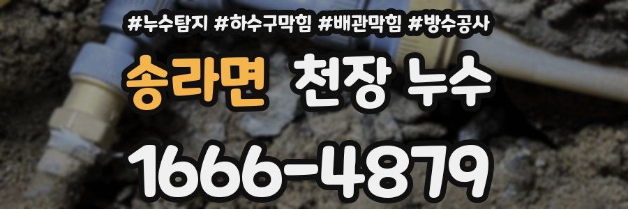 송라면 천장 누수