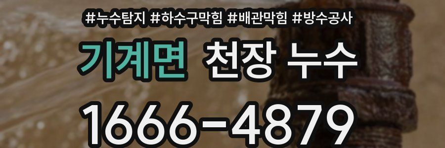 기계면 천장 누수