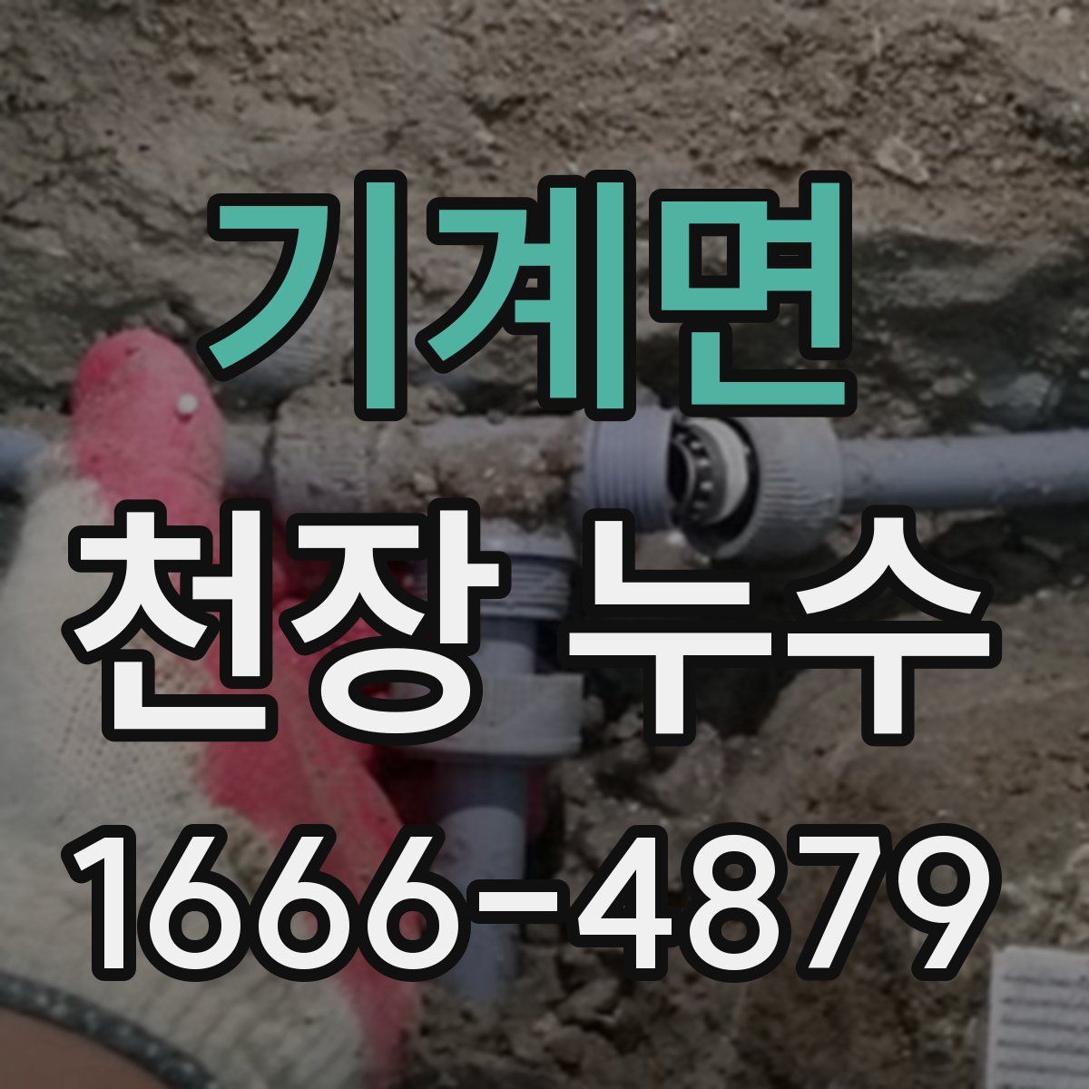 기계면 천장 누수