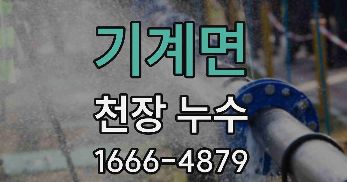 기계면 천장 누수