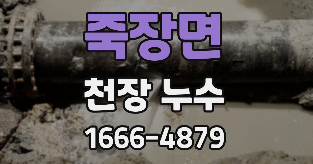 죽장면 천장 누수