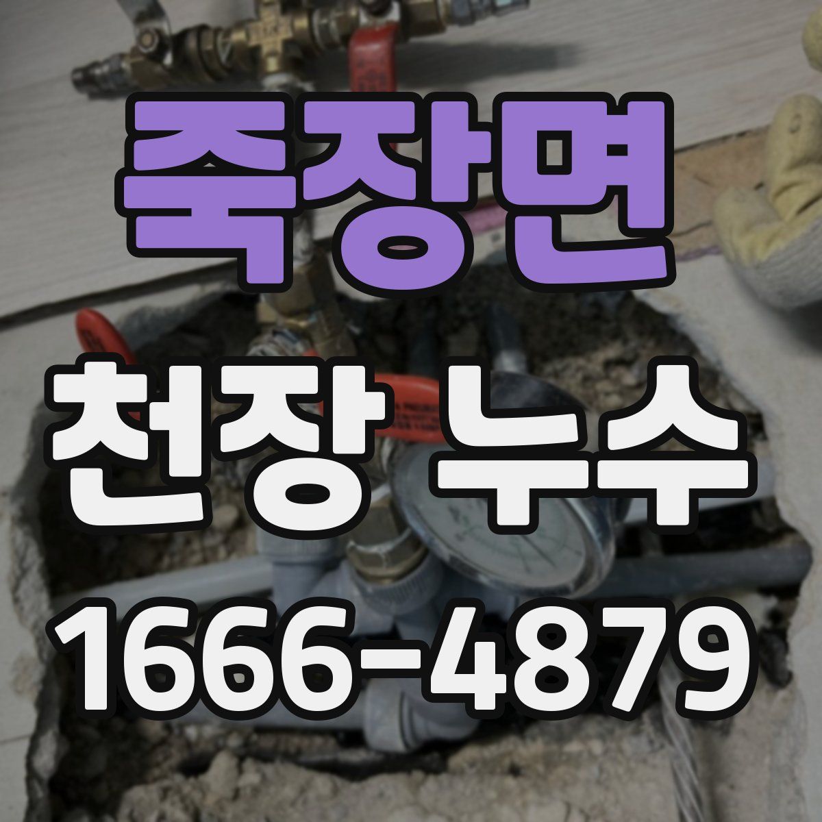 죽장면 천장 누수
