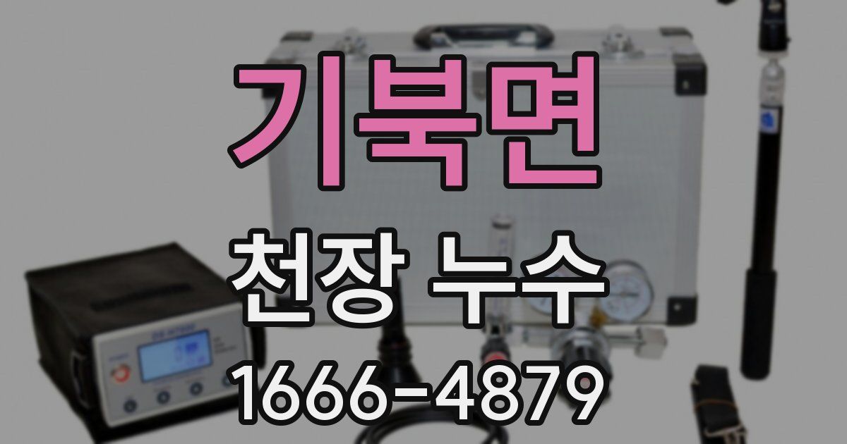 기북면 천장 누수