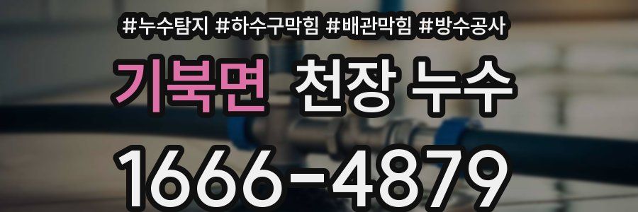 기북면 천장 누수