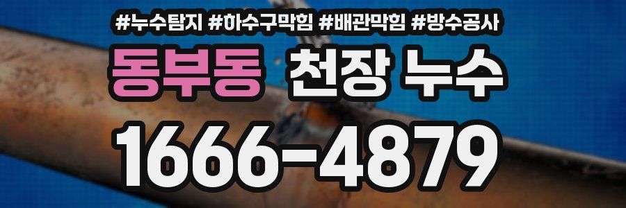 동부동 천장 누수