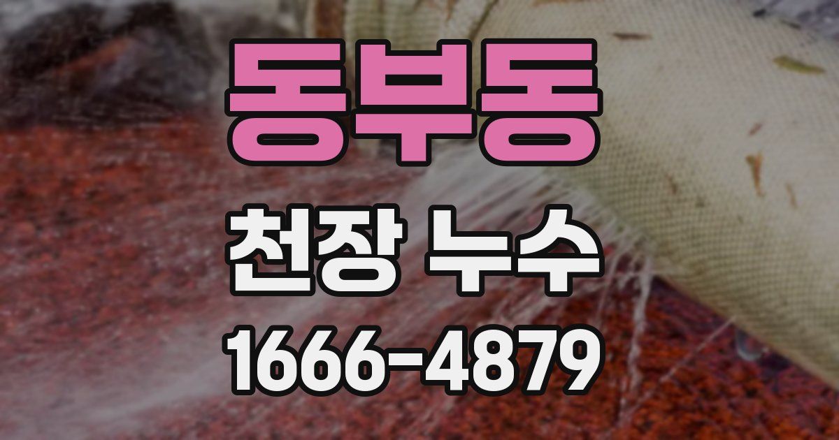 동부동 천장 누수