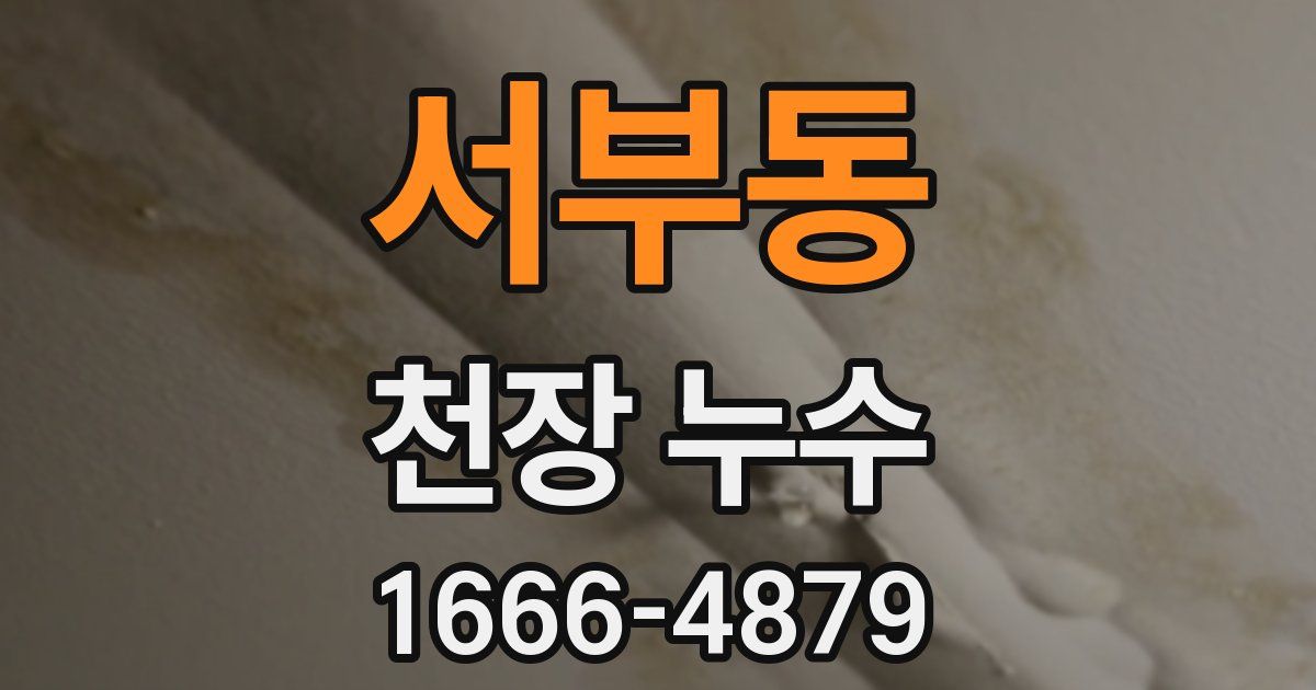 서부동 천장 누수