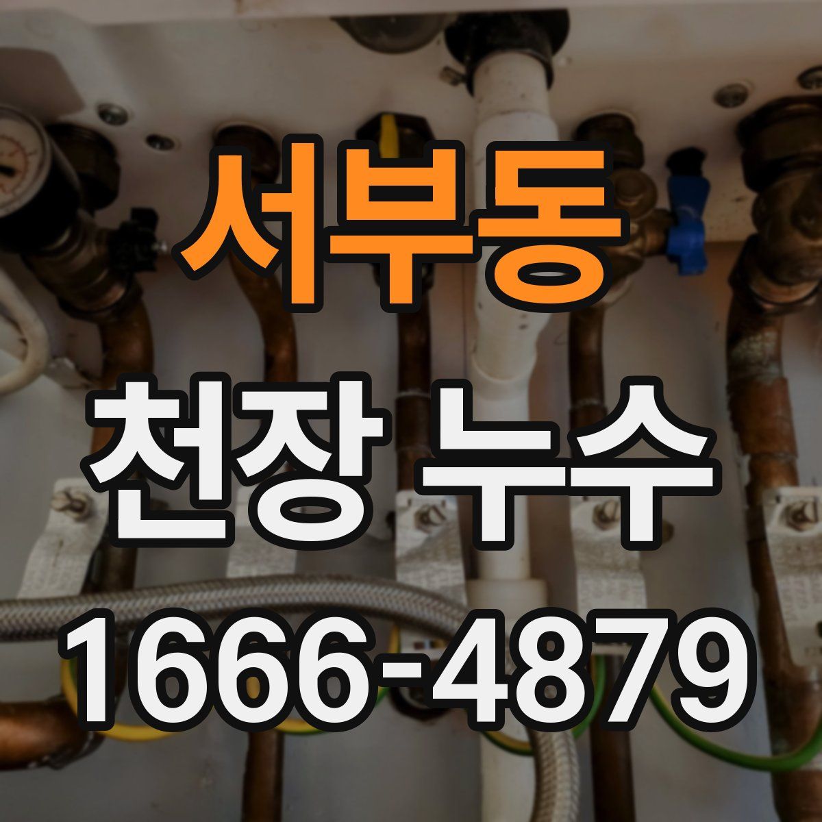 서부동 천장 누수
