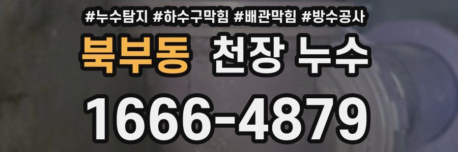 북부동 천장 누수