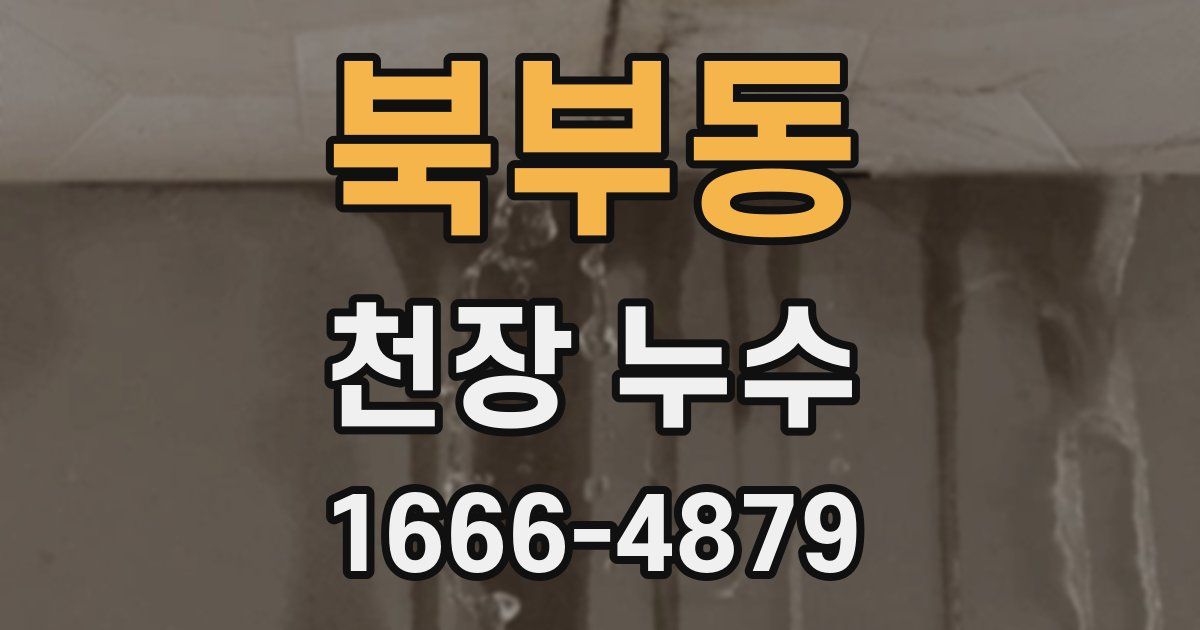 북부동 천장 누수