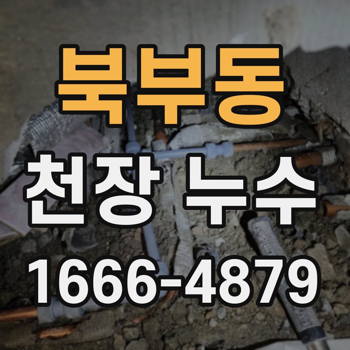 북부동 천장 누수